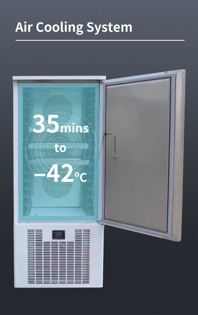 10 Δίσκοι Blast Freezer Chiller Air Cooling Μικρό για Μηχανή Ψύξης Γρήγορη κατάψυξη 5