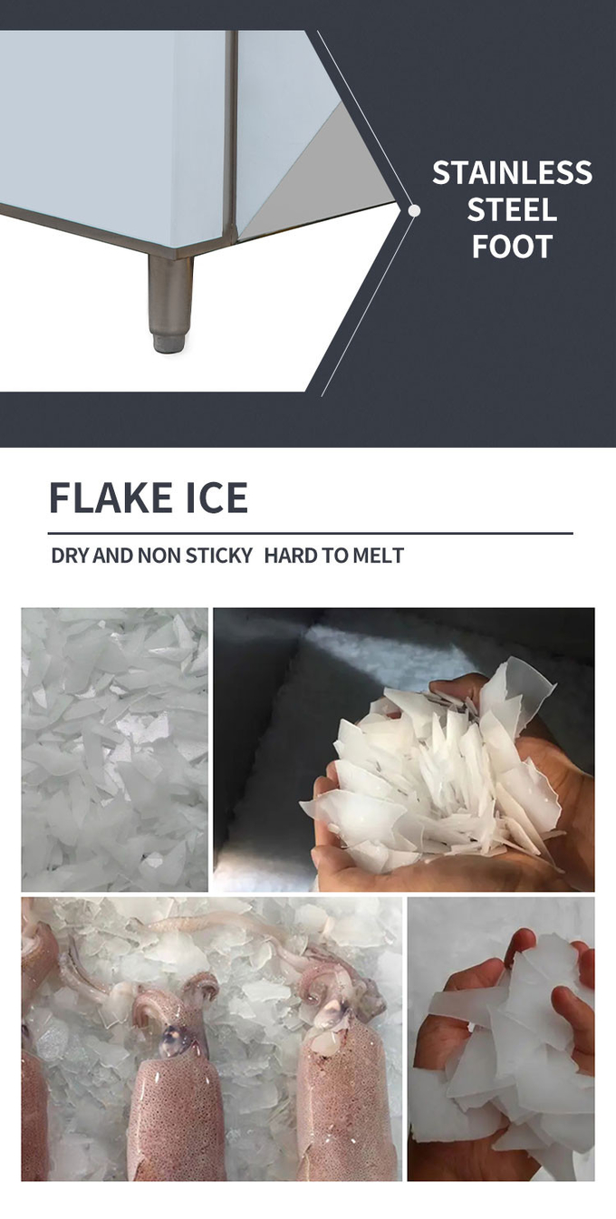 Μηχανή πάγου Geneglace Flake από ανοξείδωτο ατσάλι 1 τόνου παγωμένου χιονιού Μηχάνημα ψύξης αέρα 3